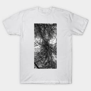 Circuitry Cont'd T-Shirt